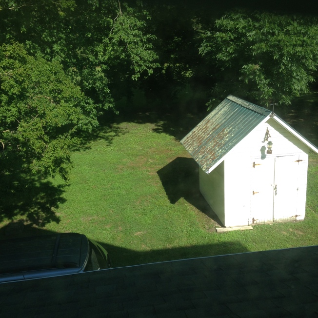 The view from the upstairs bathroom, looking down into the back yard and the little shed. 